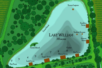 Lake William Slowly Starts to Fill - 2
