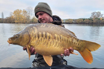 NEW ADDITIONAL STOCKING - 11