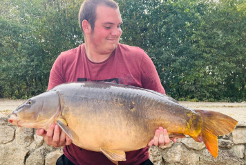 Another September Review - 2