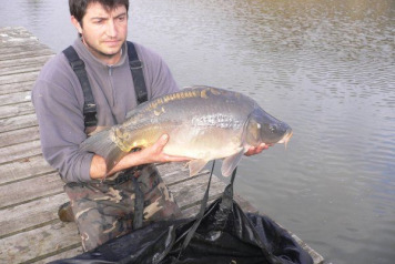 Additional stock added ! - 2