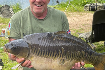 Newly stocked fish are growing! - 1