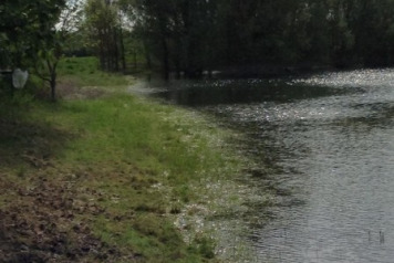 Water Levels Dropping Significantly - 4