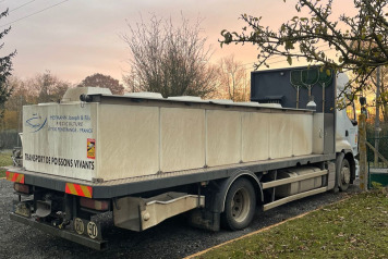 Additional Stocking - 1