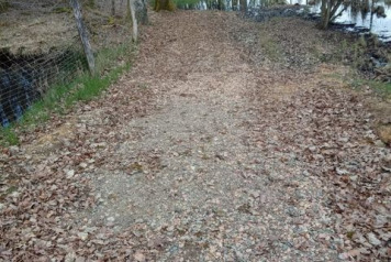 Path to Wooded Bank - 2