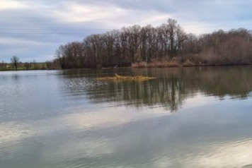 Sanctuary Island - 3