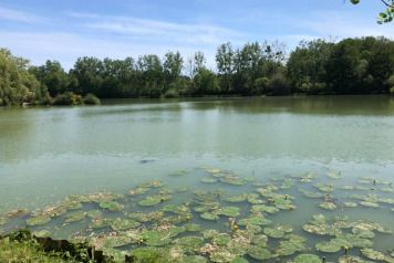 A walk round the lake - 4