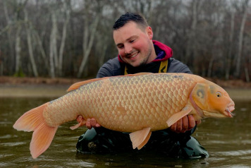 Fish safely returned to Boux! - 4