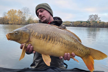 NEW ADDITIONAL STOCKING - 17