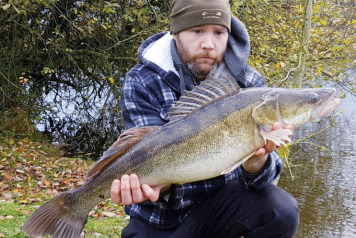 Stocking of giant Zander  - 2