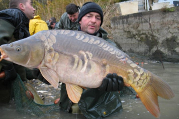 Netting Brocard Large - 5