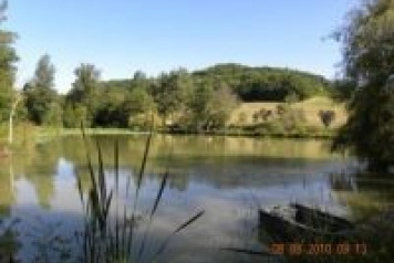 Lotus lake produces a 41lb carp for 12 year old Jake - 3