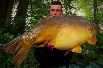 A Great Week for Swim 11 - 2