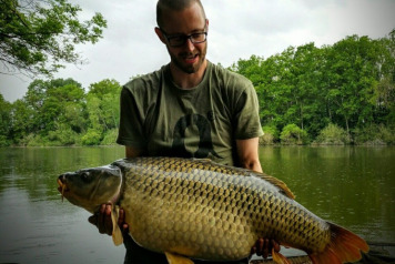 2 x 50lb+ Commons - 1