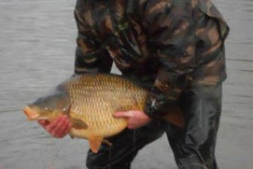 Additional carp stocked - 4