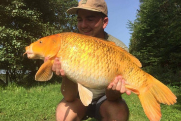 September Round-Up - 3