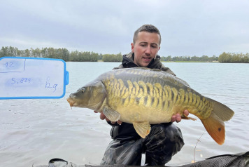 Additional Stocking - 8