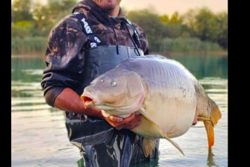 50’S AND SUNSHINE - 1