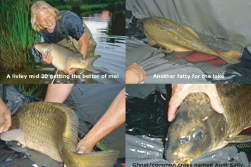 More Stock and Big Plans for La GlÃ©hias - 4