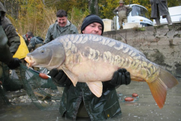 Netting Brocard Large - 6