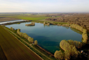 A Complete Guide to the Swims & Features - 1