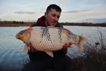 Interview with the Owner - 1