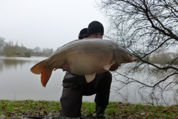 Villefonds New Bait Range - 2