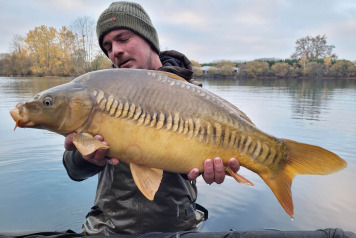 NEW ADDITIONAL STOCKING - 19