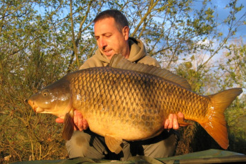 Five fifties so far this season! - 1