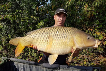 October Round-up - 4