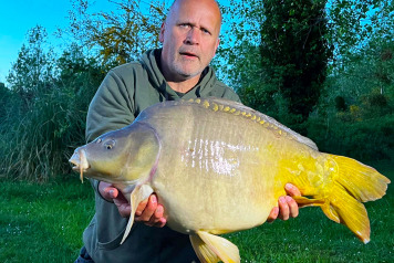 The Pick of The Bunch! - 4