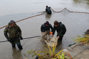 Annual Netting & Additional Stocking - 3