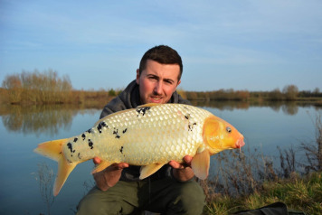 Koi at Fullys Lake - 8
