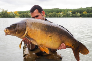 Another large additional stocking of carp to over 60lb_ - 2