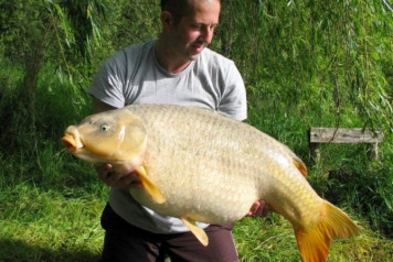 The Ghost Common! - 1