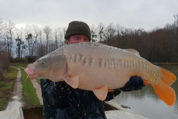 Additional Stocking - 1