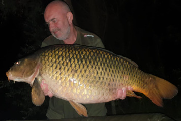 Another September Review - 4