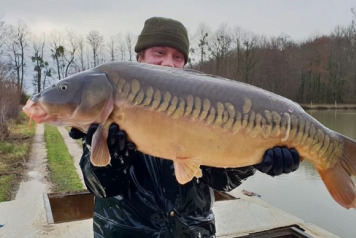 Additional Stocking - 3