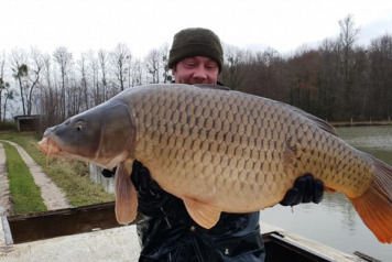 Additional Stocking - 4