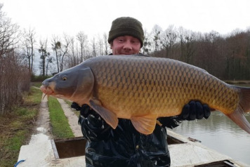 Additional Stocking - 6