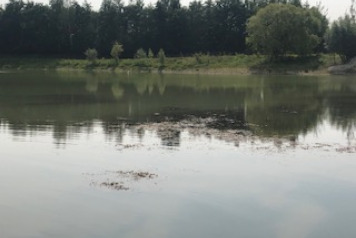 Water level update - 4