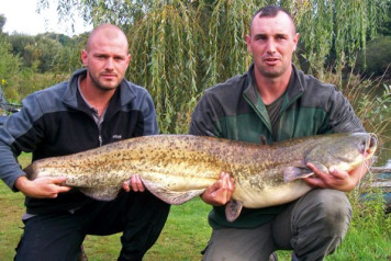 Three 40lb+ Cats out in a Week! - 3