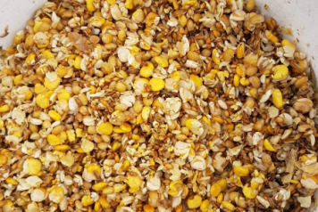 Bait changes and info  - 1