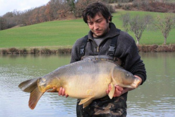 21 x 30lb+ carp stocked - 3