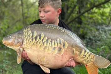 An Excellent Week - 3