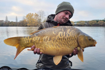 NEW ADDITIONAL STOCKING - 10