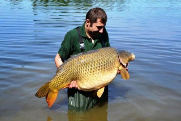 Friday the 13th produces TWO 50lb commons!! - 1