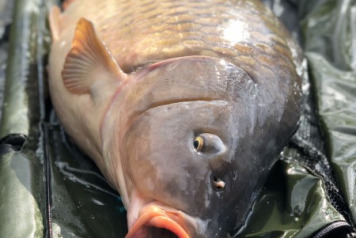 A New Lake Record - 2