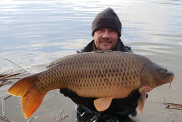 Additional Stocking - 4