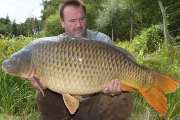 4 x 50's In A Week - 1