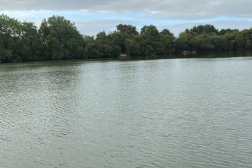 A lovely sight this morning! - 1